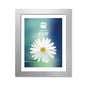 Tallon Photo Frames - Silver 8''x 10''