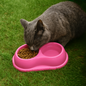 Dual Food & water Bowl for Cat, Dog, Rabbit - Pet Hygiene Essentials –  (Hot Pink)
