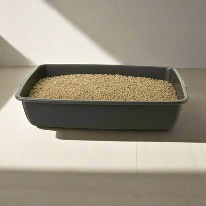 Cat Litter Tray – Assorted Colors – Tough Plastic Cat Litter Tray – Easy to Clean – Pet Hygiene Essentials – (Pack of 2) (Graphite, Large/46cm)