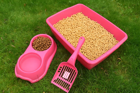 Cat Litter Tray Box – Large Plastic Litter Box with Detachable Rim & Scoop, 46 x 34.5 x 10 cm, Stackable & Easy to Clean, Pink, Set of 3 – For Cats, Kittens, Rabbits & Small Pets